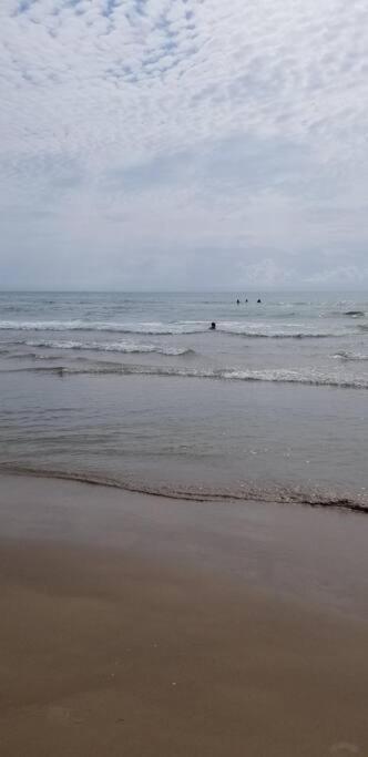 2 Bed 1 Bath Condo By Beach & Entertainment South Padre Island Esterno foto